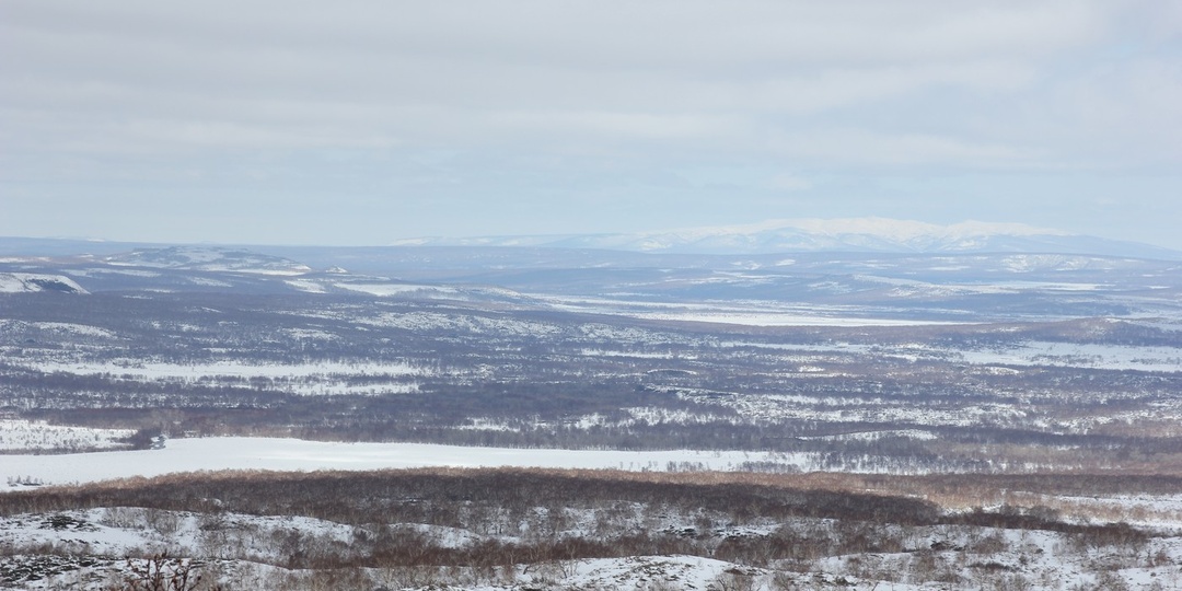Организация охотничьего промысла в Тигильском госпромхозе в 1970–1980-х годах
