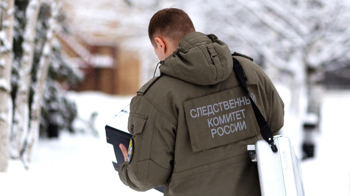    СК устанавливает причины гибели подростка в лесу в районе Ханты-Мансийска