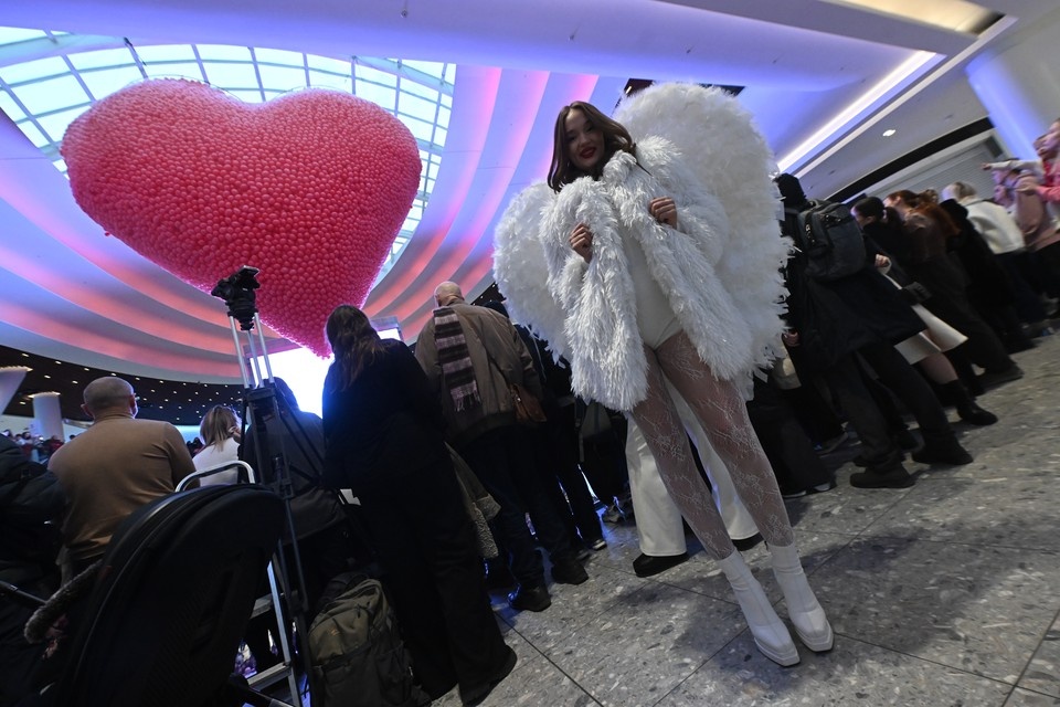    Где отметить 14 февраля в Ростове-на-Дону. Иван МАКЕЕВ