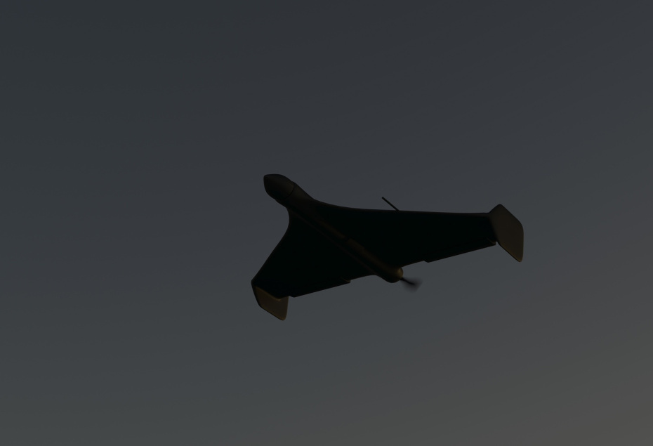    Shutterstock/FOTODOM