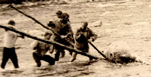 Увеличенный фрагмент предыдущего фото