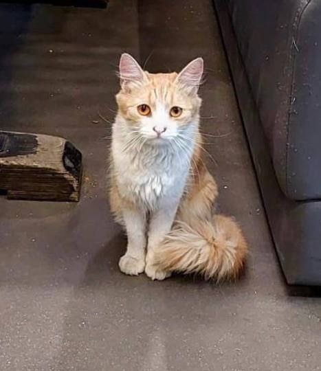 Помогаем информационно