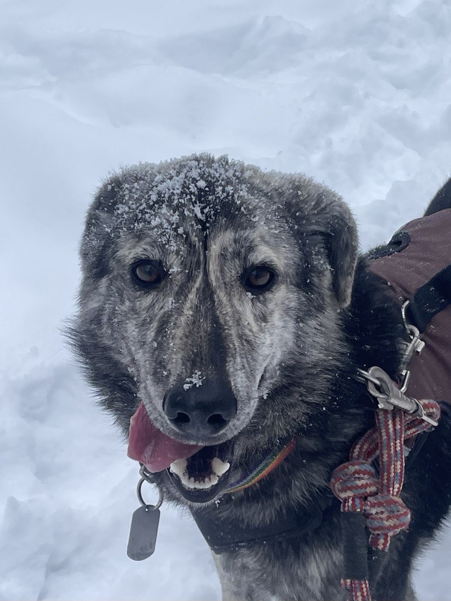 Ну как?! Остолбенели от моей красоты:)