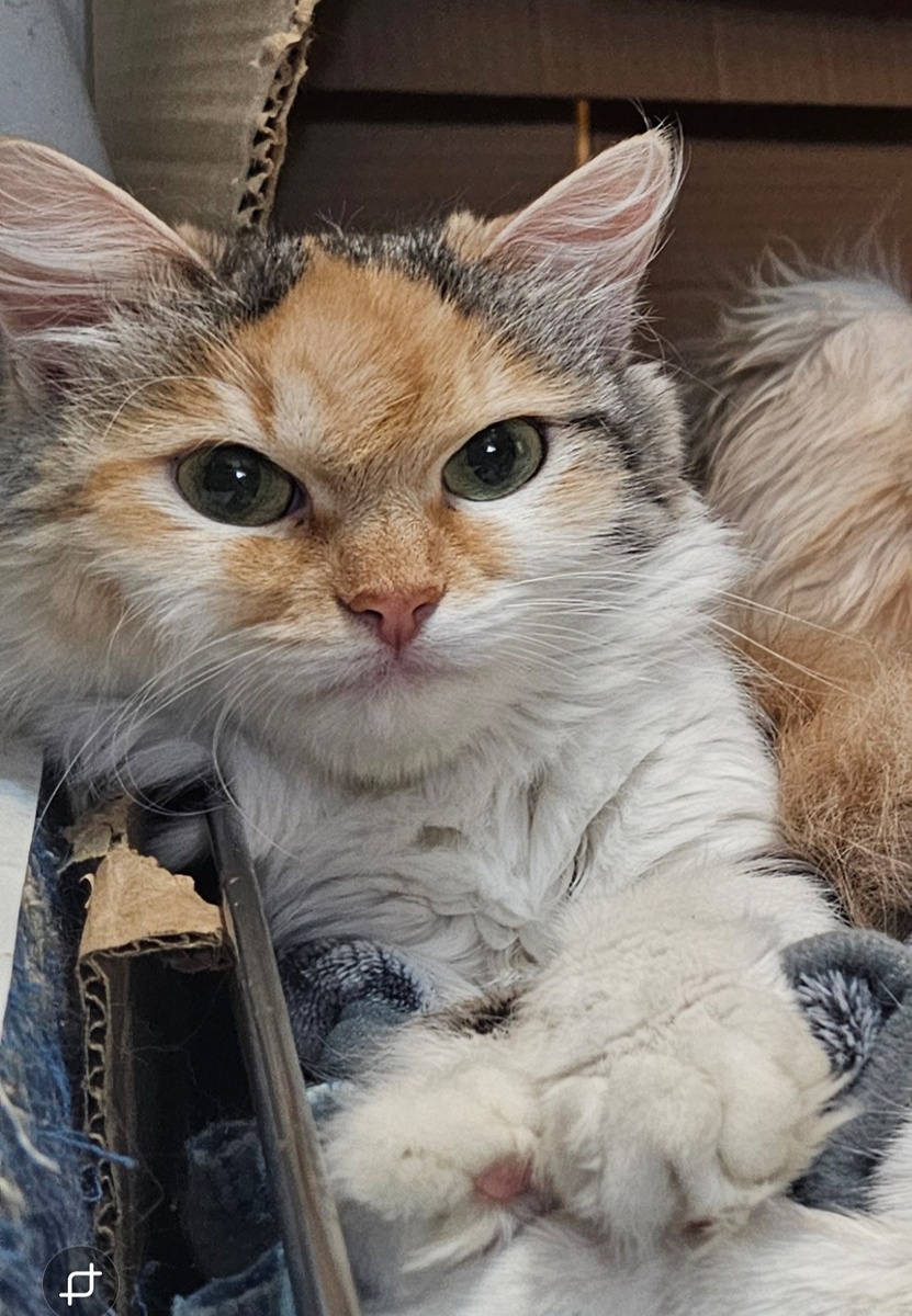 Фото автора. Фасолька оооооочень хочет жить.