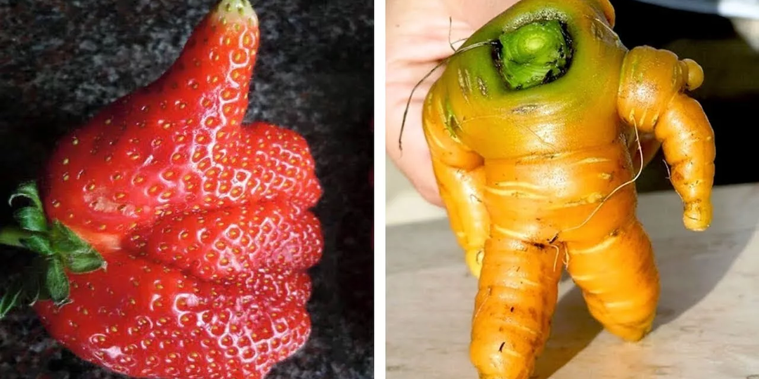 В бездне - Неожиданно наш корабль исчез с радаров земных станций и только по возвращении мы смогли объяснить что же произошло.