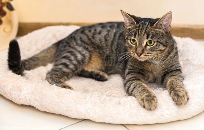 Фото из Интернета. 