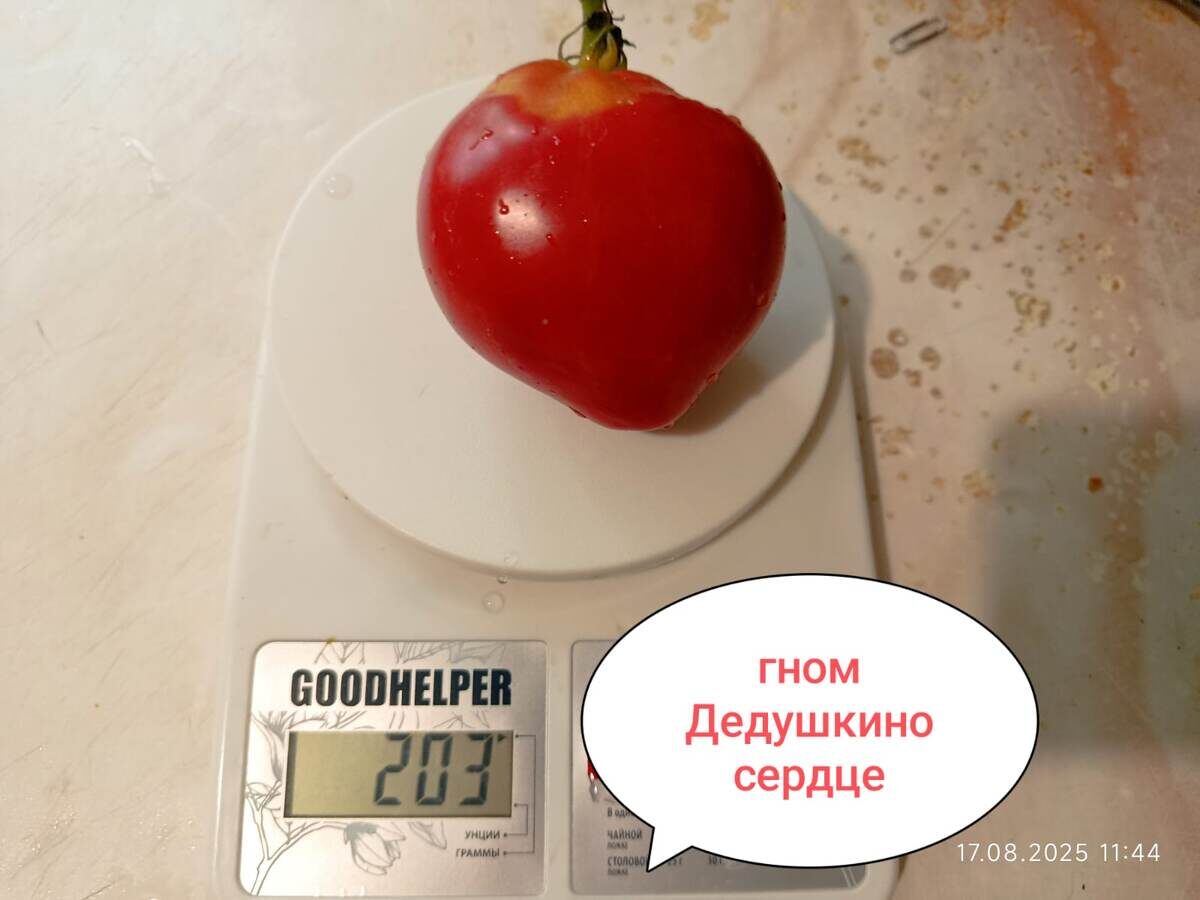 фото 17 августа