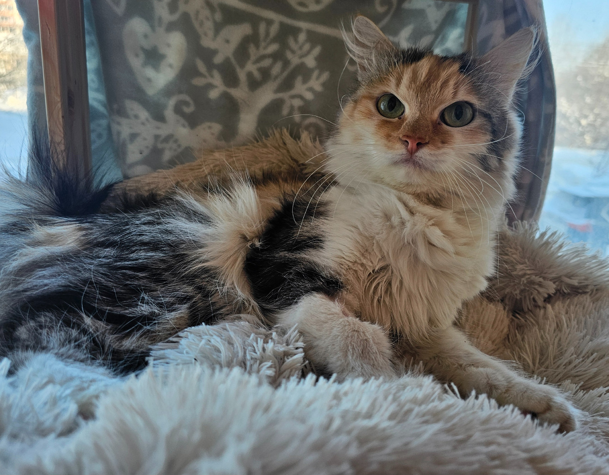 Фото автора. Фасолька оооооочень хочет жить.