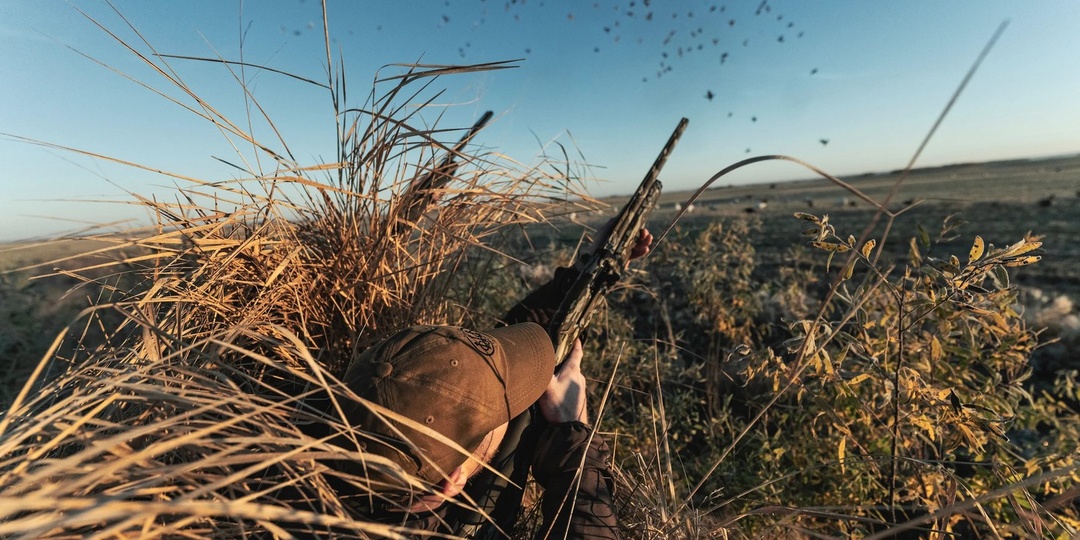 Прообраз ружья будущего? Beretta АХ800