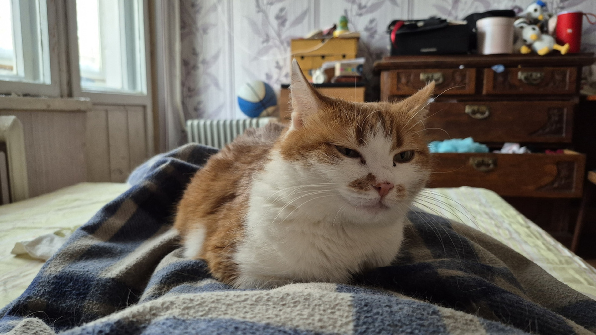 одна из причин моего поздновставания