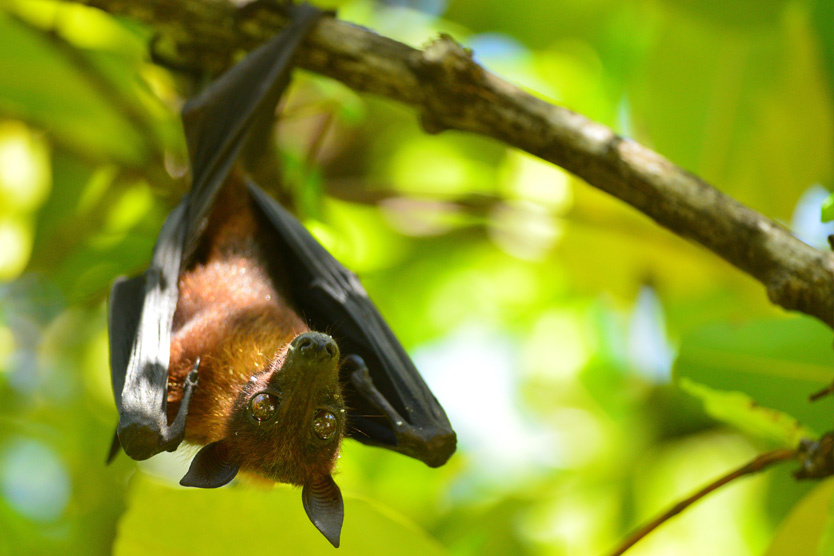    Фото: Daniel Gerd Poelsler / Global Look Press