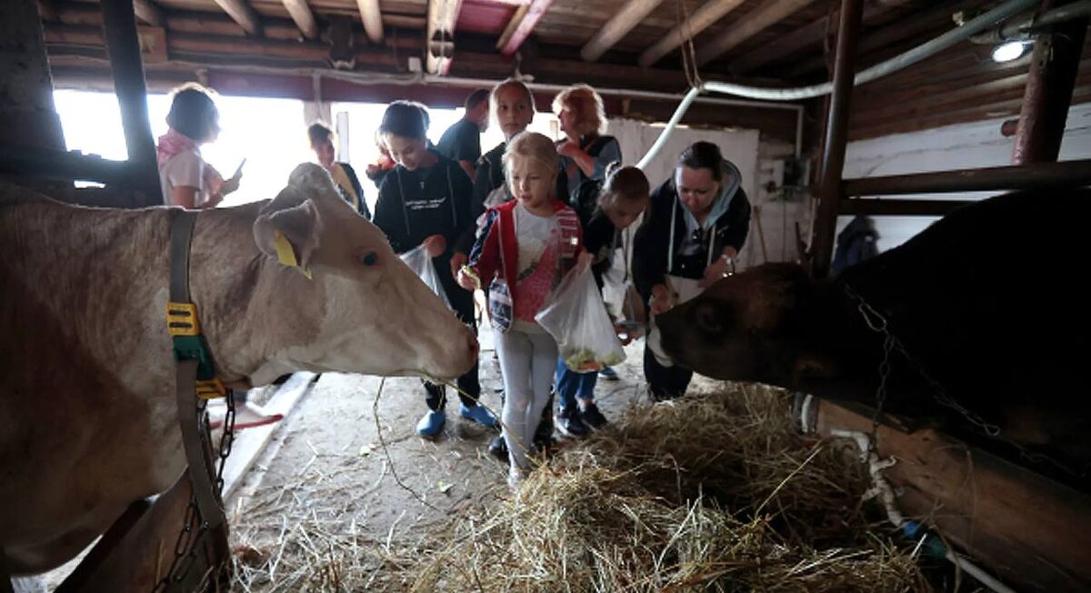 Фото: Виталий Белоусов, Илья Наймушин (баннер) / РИА Новости