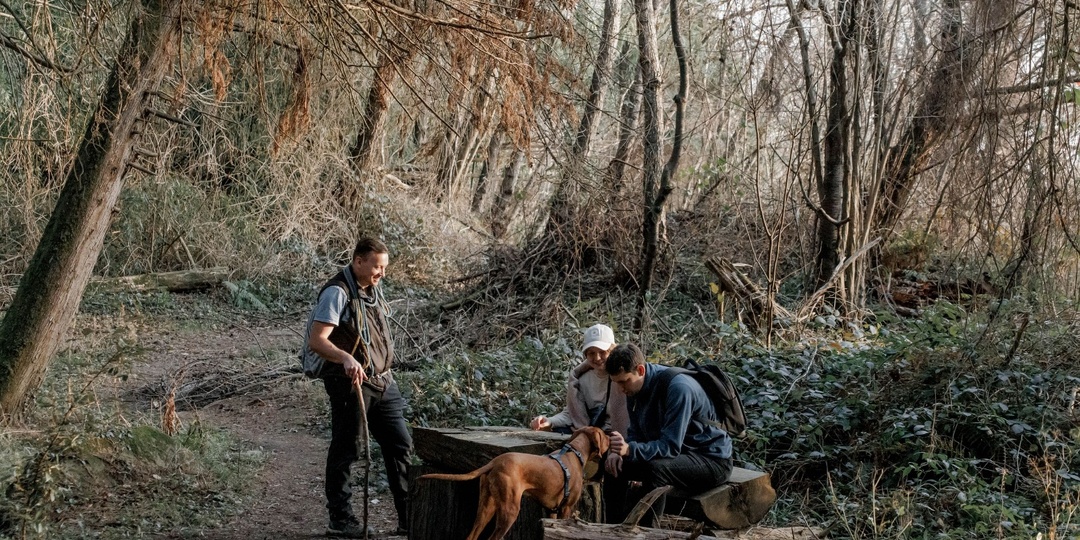 Кудепстинский лесопарк: где цветы растут в январе, а пальмы соседствуют с секвойями.