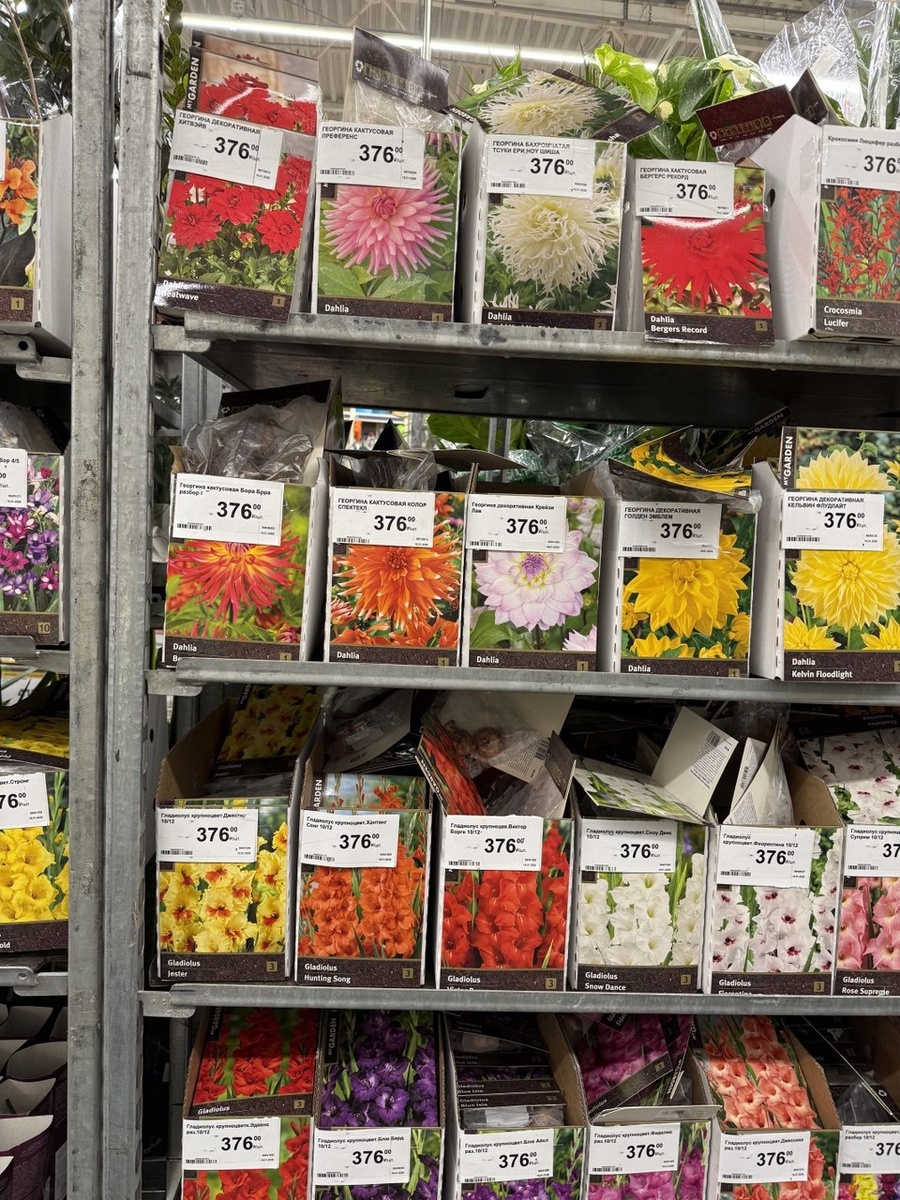 Фото февраля 2026