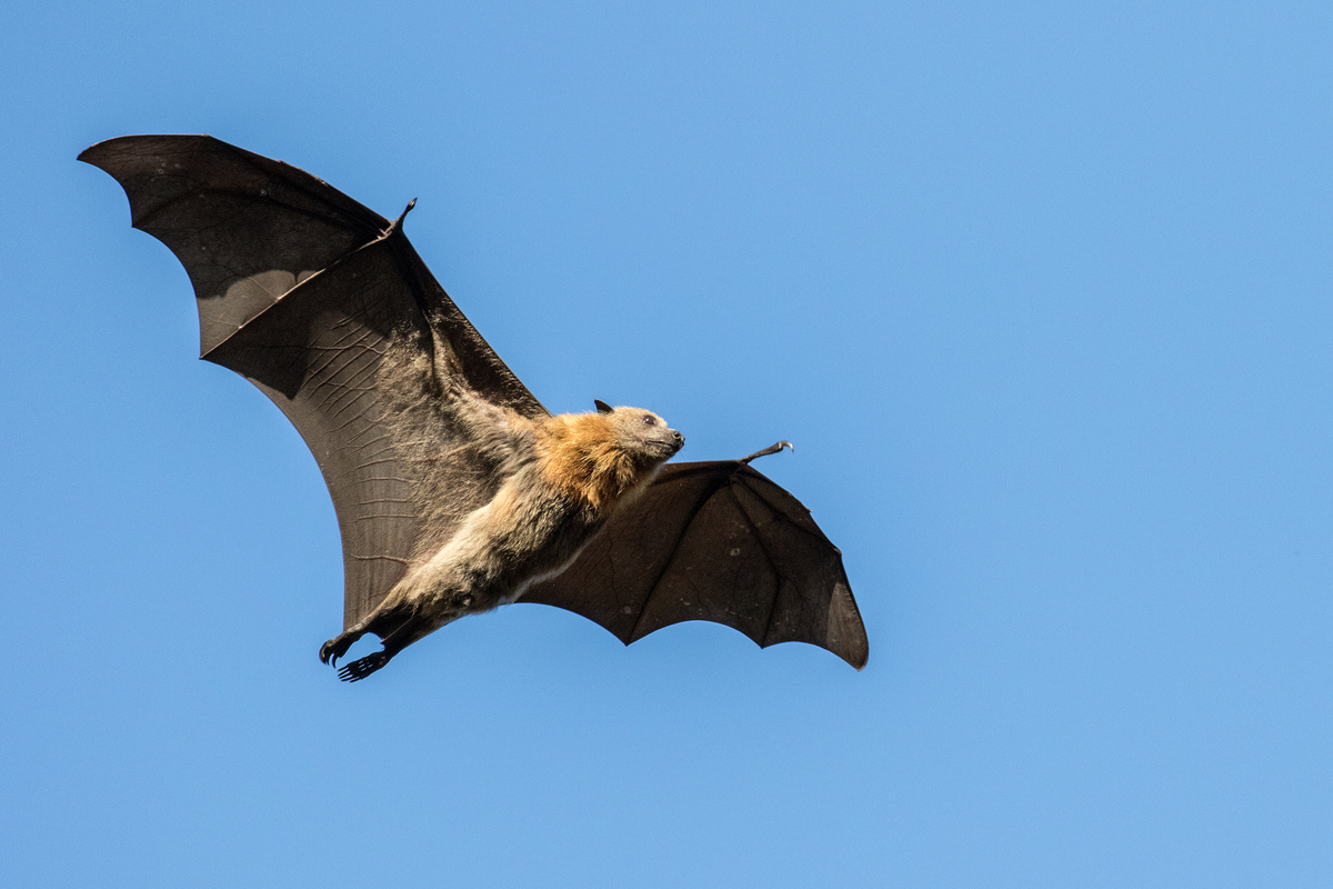    Изображение носит иллюстративный характер. Фото: Ken Griffiths / Shutterstock.com