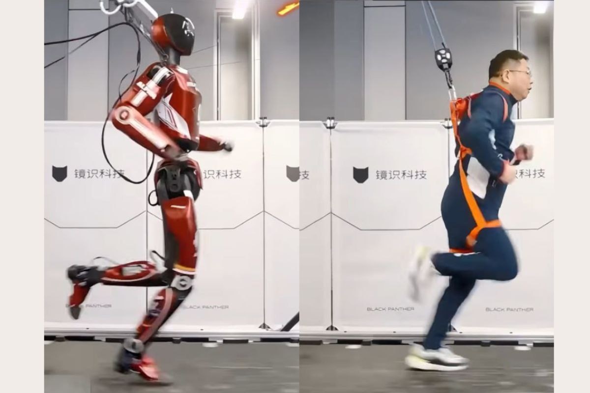    Фото: Zhejiang University