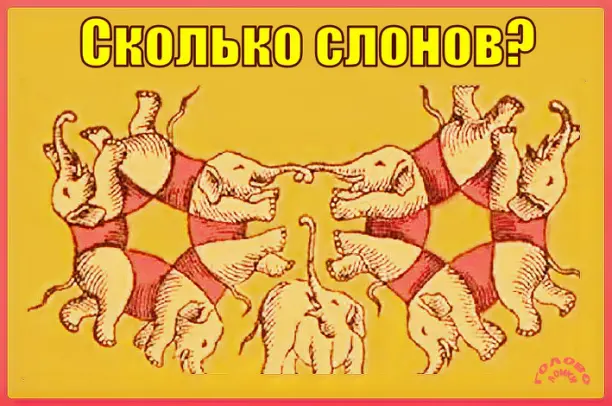 🐘 Сколько слонов ты насчитал? Проверь зоркость за минуту!
