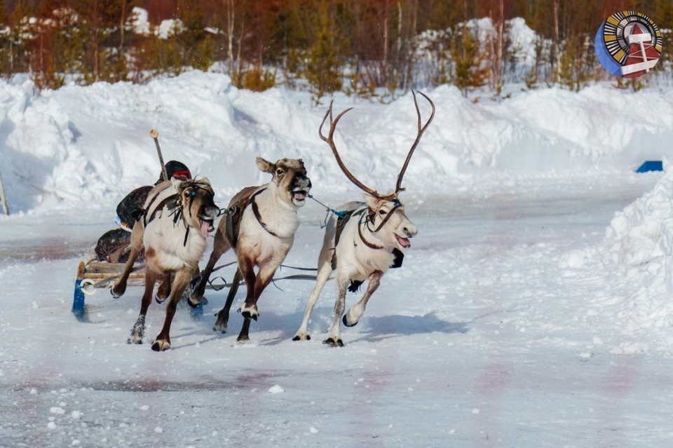    Фото: администрация Ноябрьска