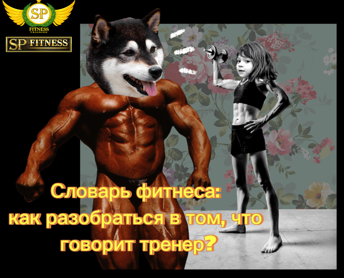 Словарь бодибилдинга и фитнеса