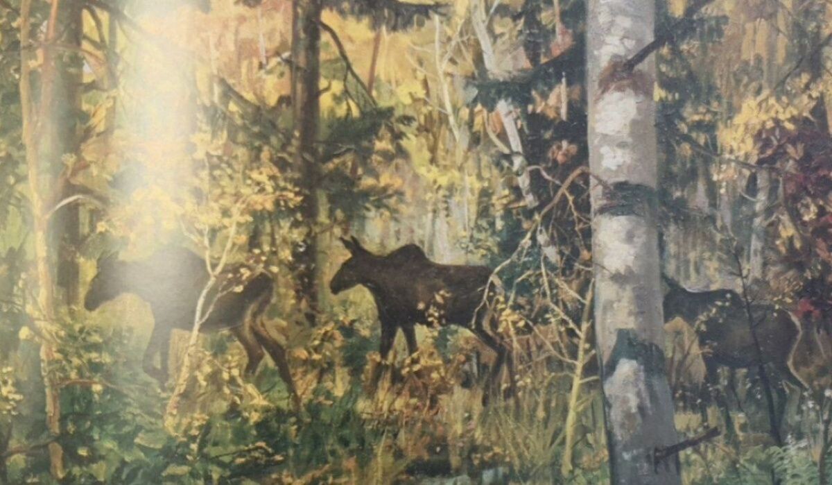     Выставка «Линии жизни и войны». Источник: Музей Победы Автор фото: Пресс-служба Музея Победы