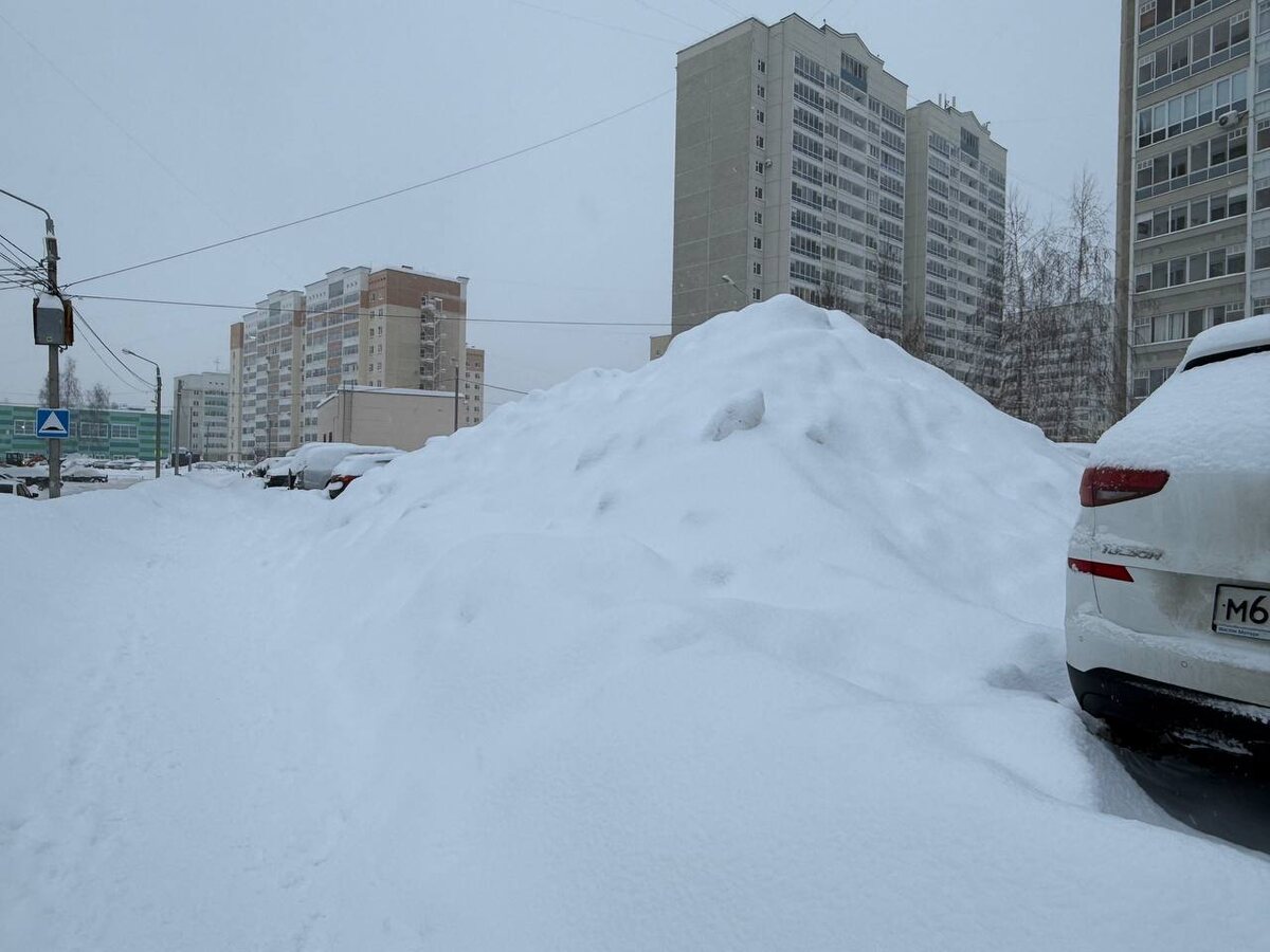 Фото: РБК Пермь