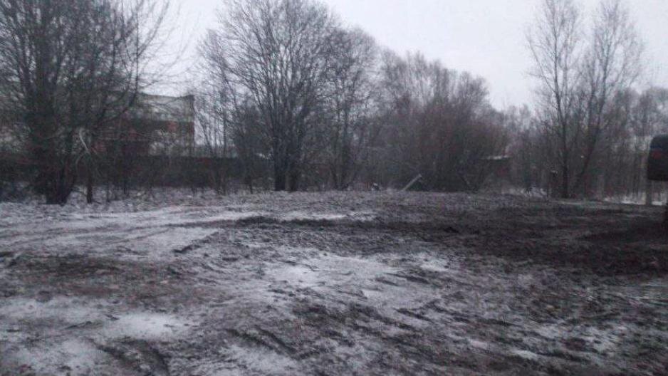    Фото: t.me/prok_lenobl