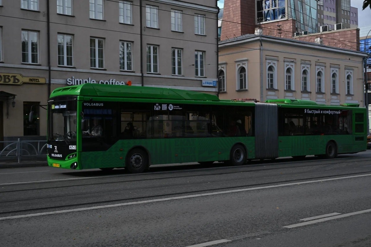    Фото: Анастасия Сибирякова