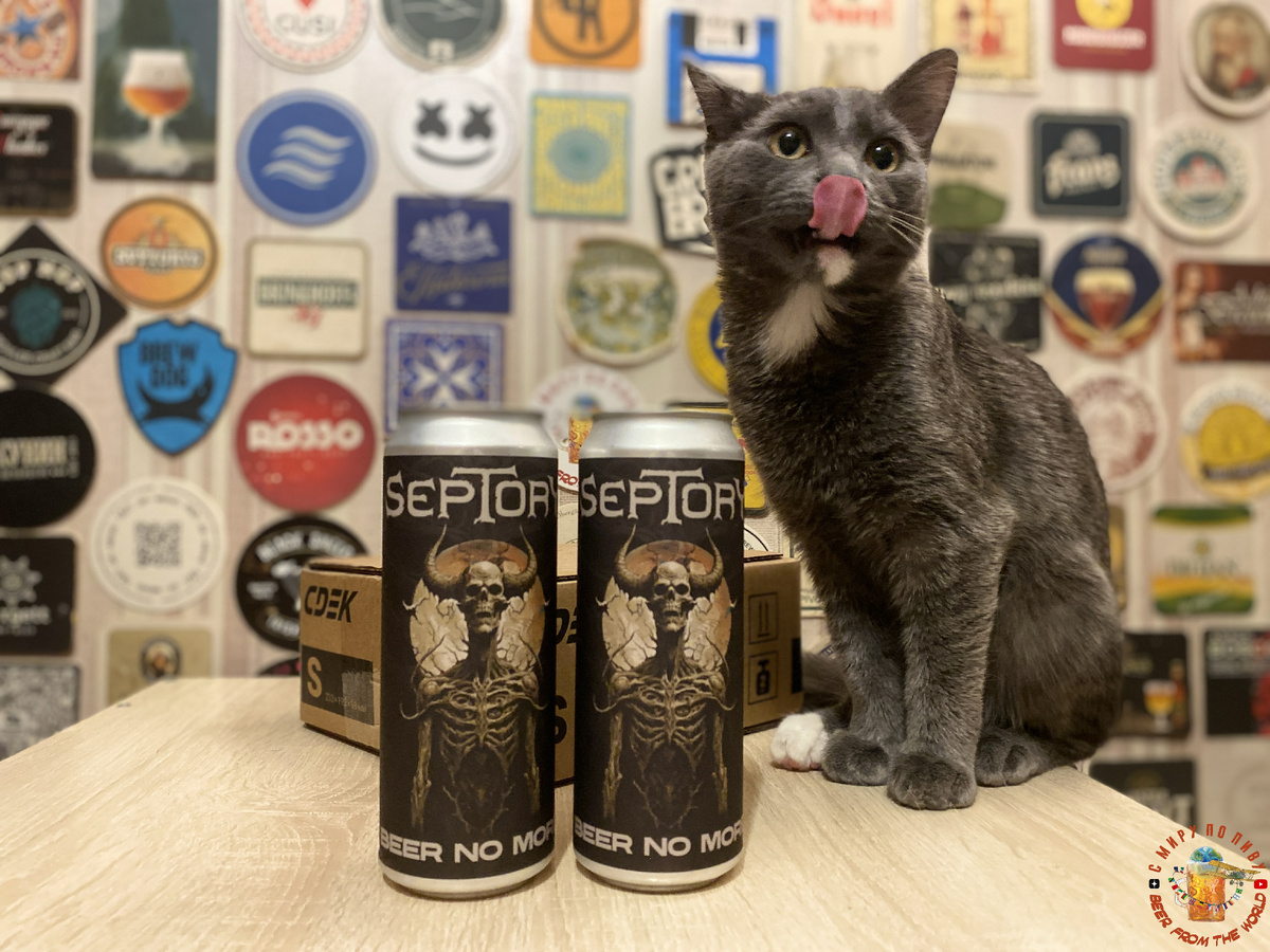 Обзор пилснера от группы SEPTORY