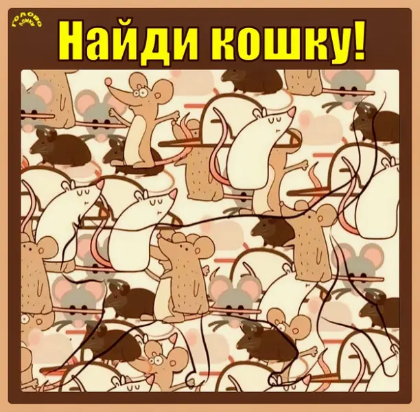 🐱 Найди кошку среди мышек — проверь зоркость за 30 секунд!