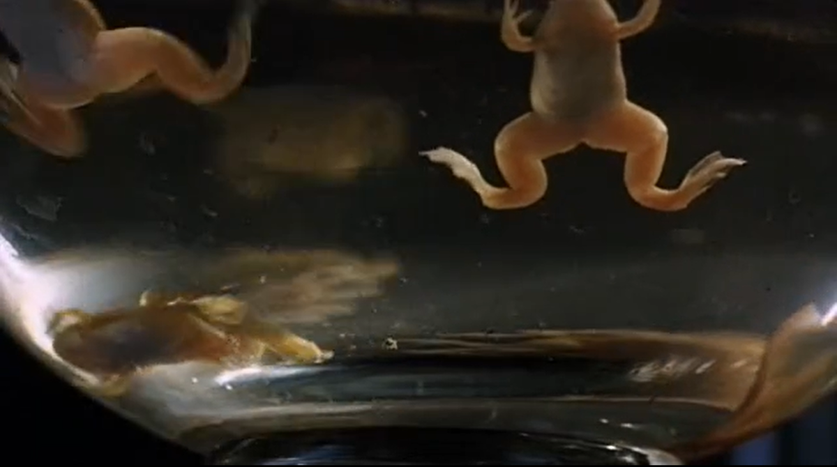 Кадр из «Новой старой сказки»