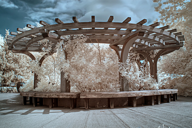 Изображение: arbero.ru