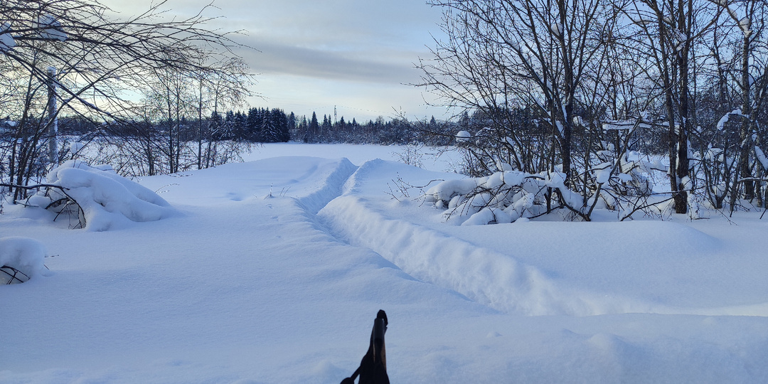 Про лень и прокрастинацию