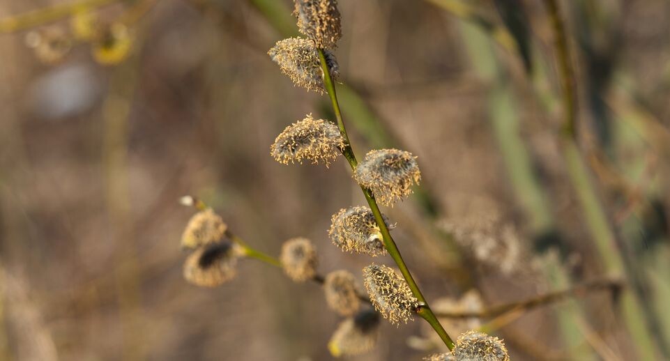    Медиасток.рф