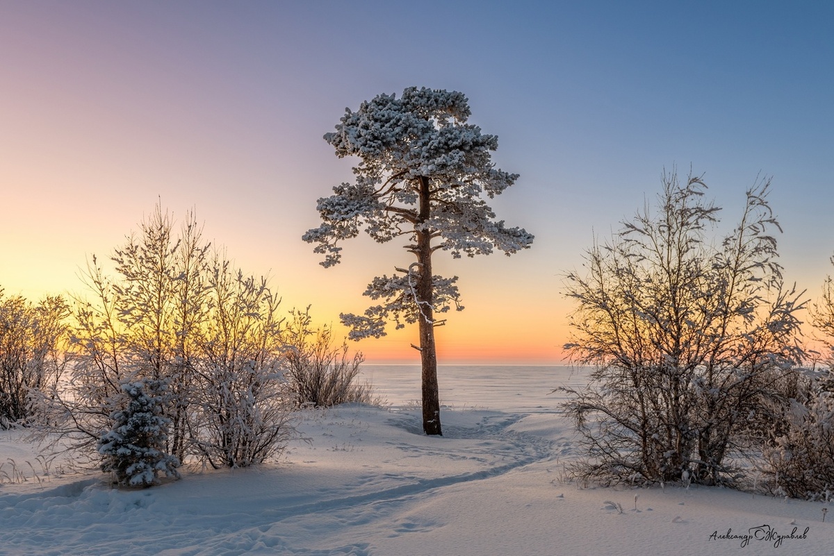 Фото Александра ЖУРАВЛЁВА.