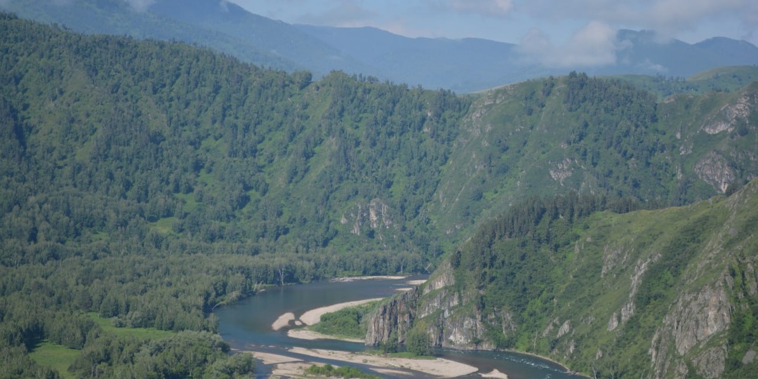 🌊 Пять интересных фактов про реку Чарыш