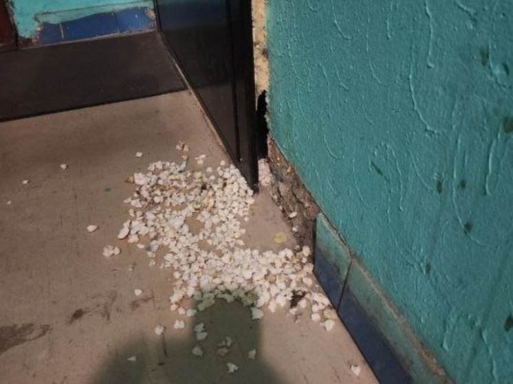     фото ВК Ярославль Дзержинский район