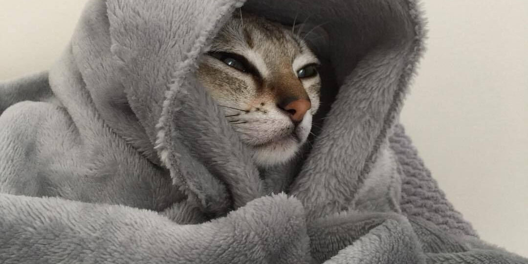 Тагильчане, утепляемся: порывистый ветер и резкое похолодание придут завтра в наш город