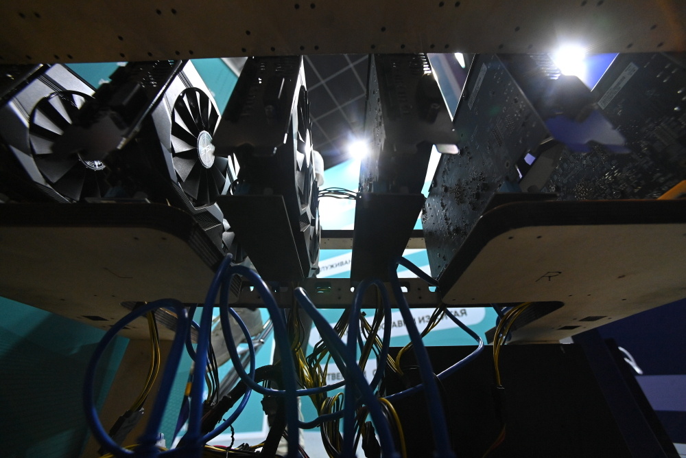    Фото: Евгений Одиноков / РИА Новости