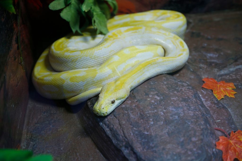 © Надежда Глазкина / Фотобанк Лори