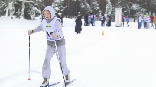 лыжник во время гонки в лесу