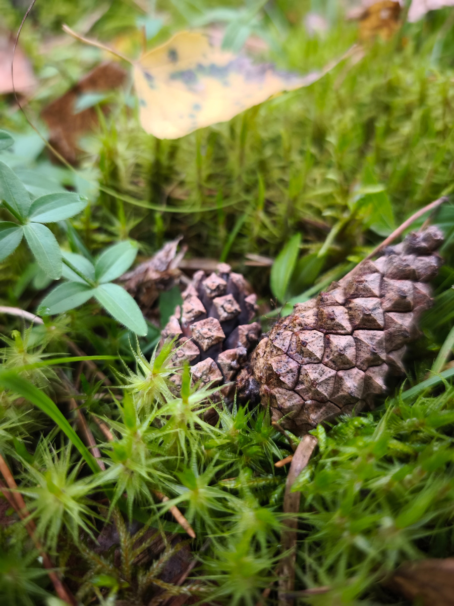 Листаем фотогалерею, друзья