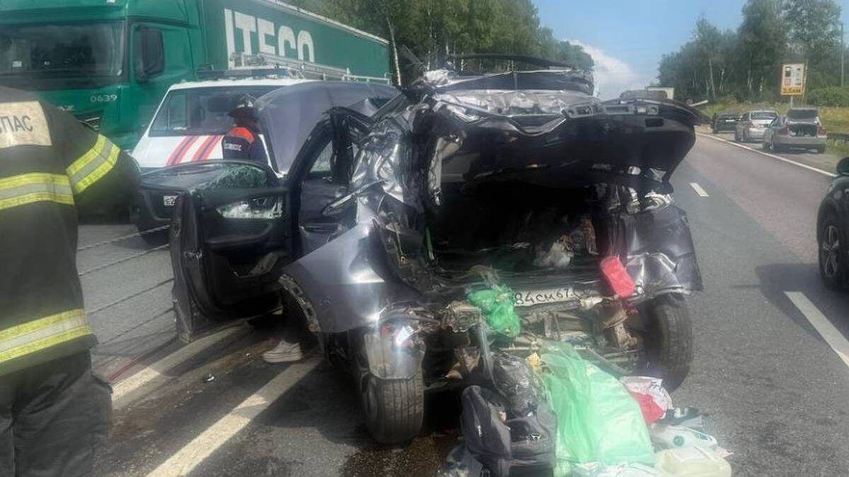    Фото: Прокуратура Московской области / Telegram