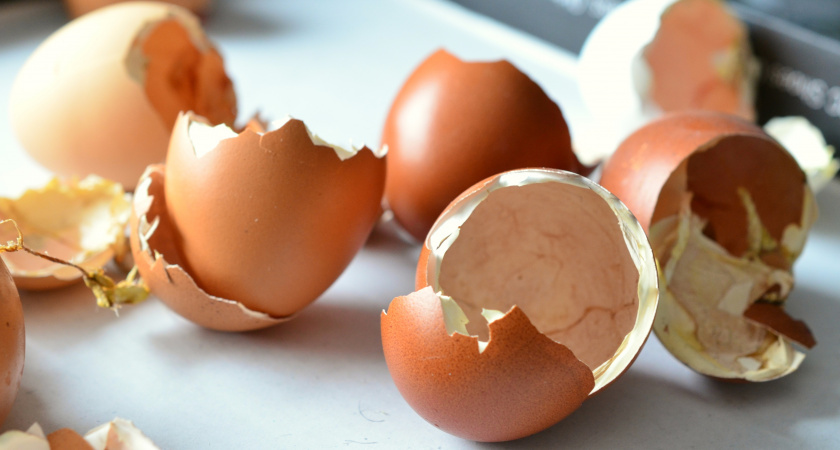 Яичная скорлупа на огороде: Секретное удобрение из прошлого, о котором стоит узнать каждому дачнику