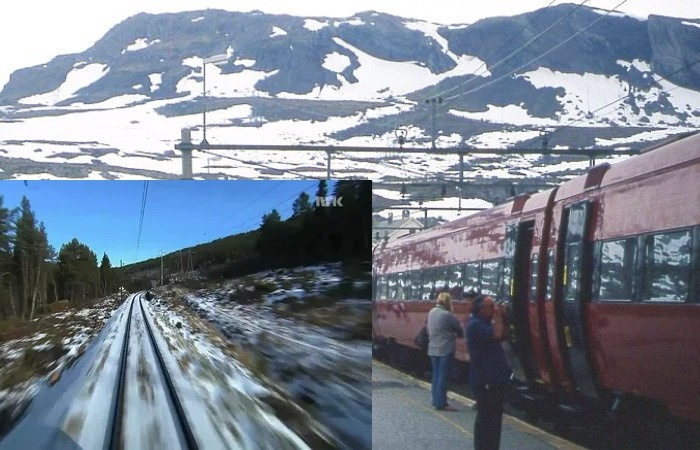 Семичасовая трансляция движения поезда.