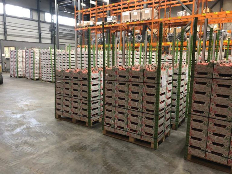     Фото: Россельхознадзор