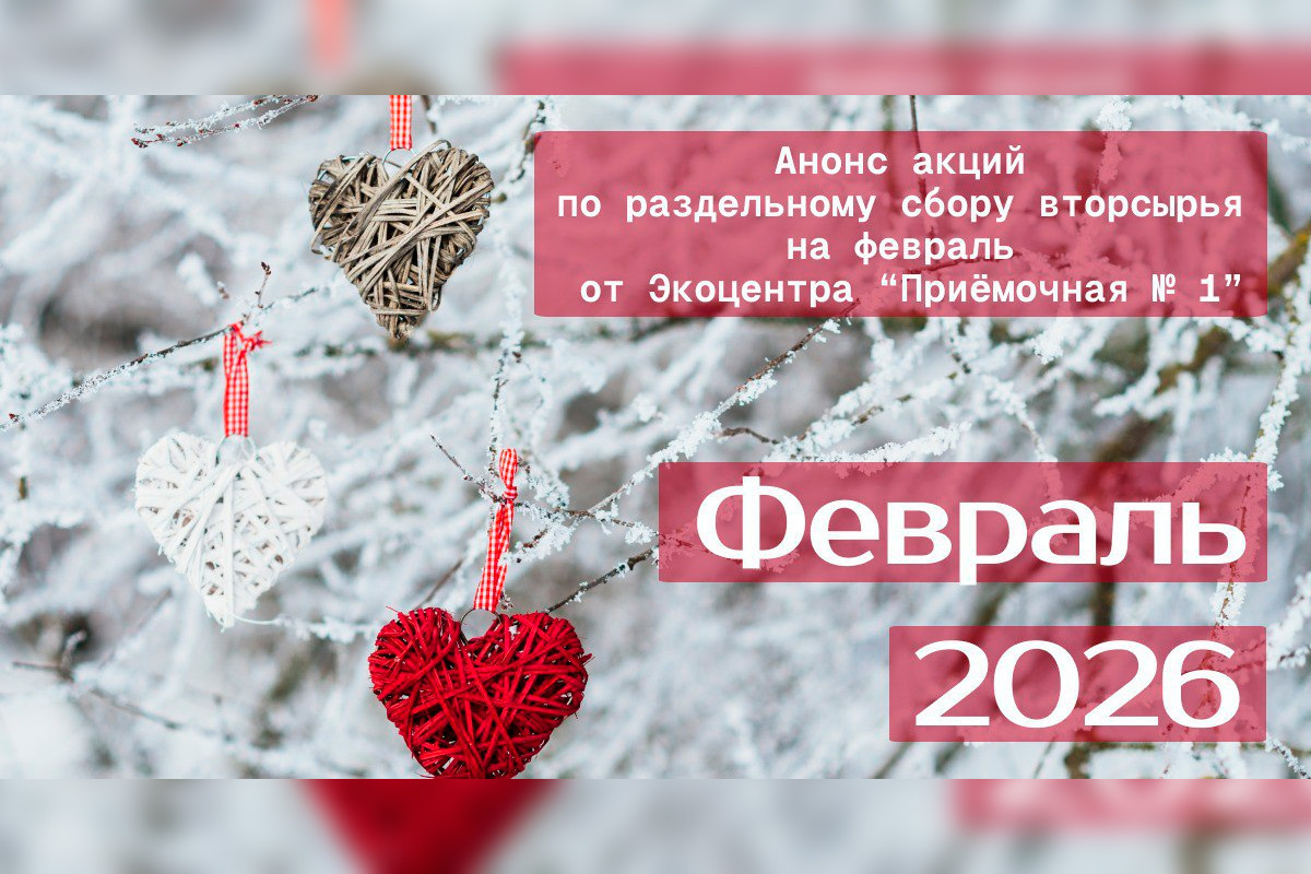    Фото: Администрация Городского округа Пушкинский