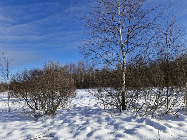 Не используешь – отдай другим. Инициировано изъятие угодий в Тверской области