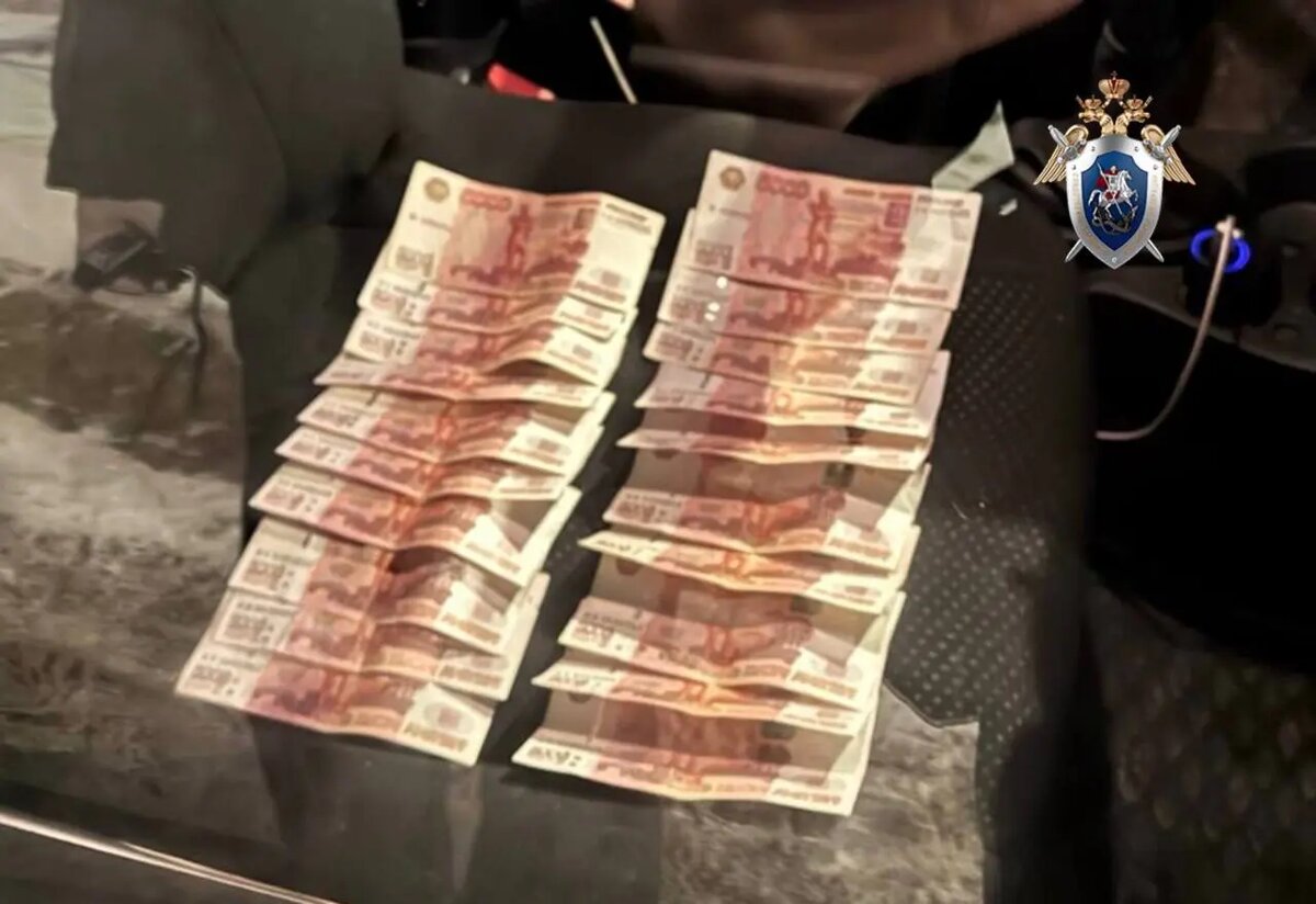    Фото: пресс-служба ГСУ СК России по Петербургу.