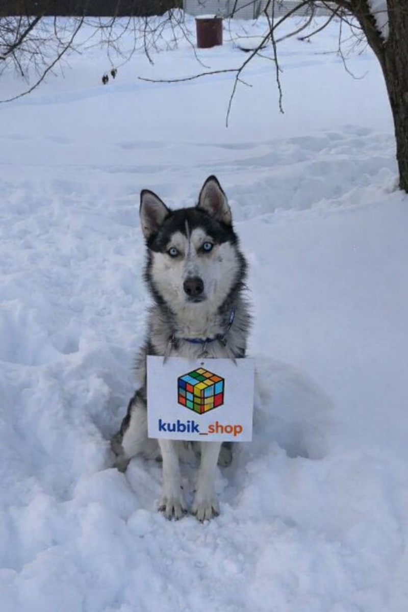 Смеялись мы несколько дней. в лого не пошло, но для истории оставлю))