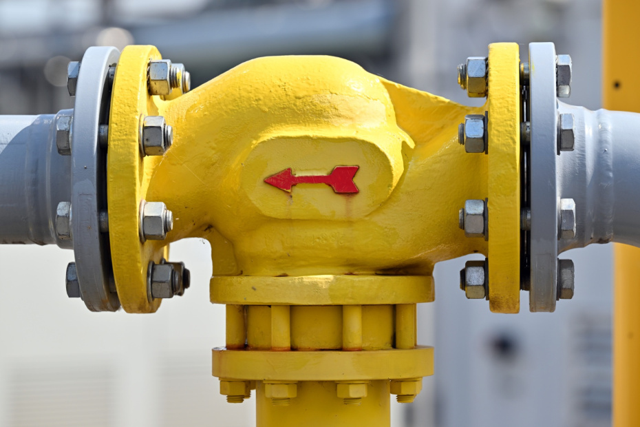    Martin Schutt/dpa/Global Look Press